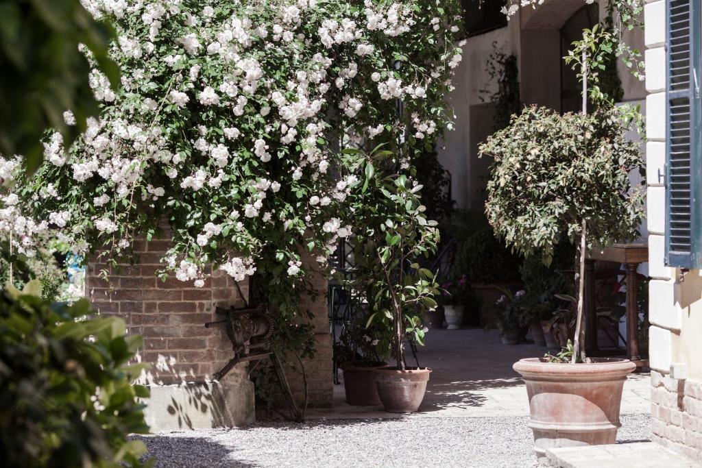 مبيت وإفطار بارما Villino Di Porporano المظهر الخارجي الصورة