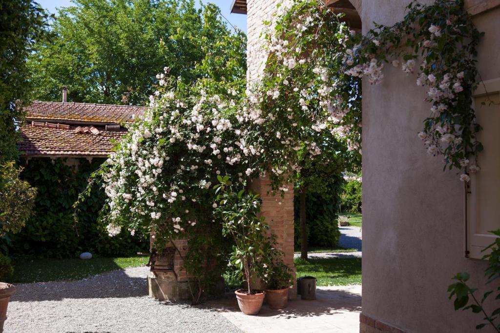 مبيت وإفطار بارما Villino Di Porporano المظهر الخارجي الصورة