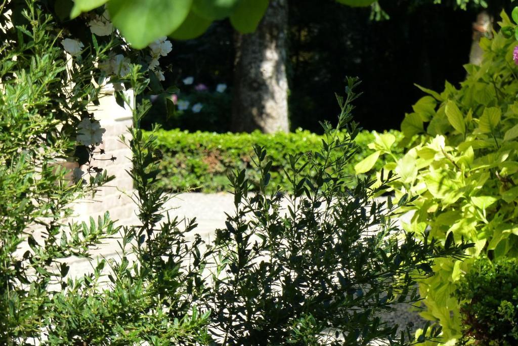 مبيت وإفطار بارما Villino Di Porporano المظهر الخارجي الصورة